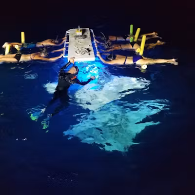 Product Small Group Manta Ray Night Snorkel